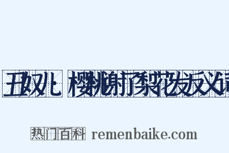 丑奴儿·樱桃谢了梨花发反义词是什么意思的图片